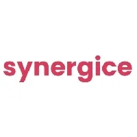 Synergice Events Private Limited
